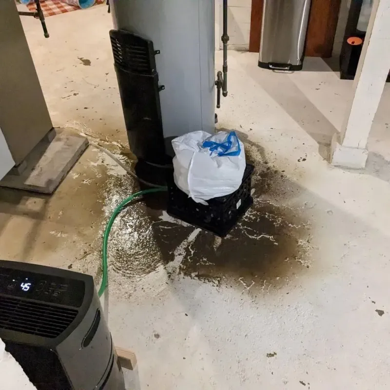 Sewage Backup Cleanup Service in Tehama County, CA